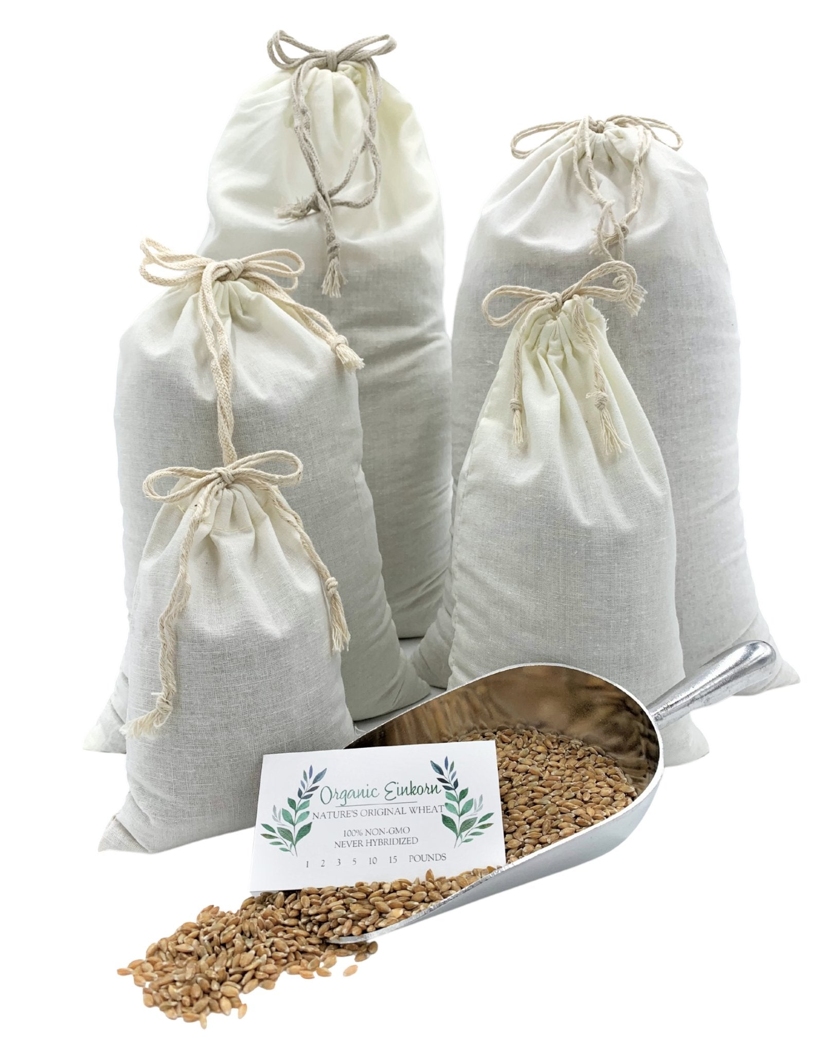  Einkorn Farro Grain Organic (4.8 lb) Be Still Farms - Bayas de  trigo Einkorn a granel granos antiguos enteros - Ideal para sopa, harina,  pan, alto en fibra